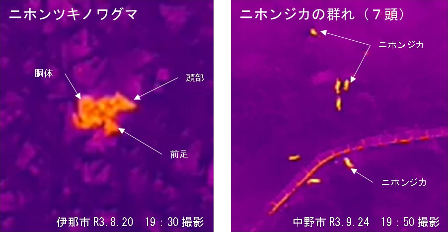 サーマルカメラで撮影した写真