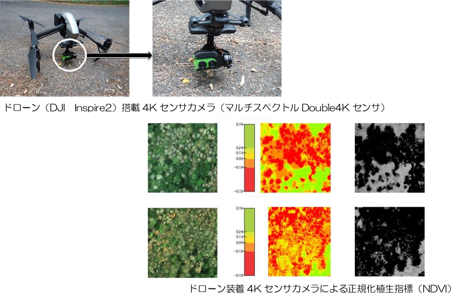 ドローンの写真