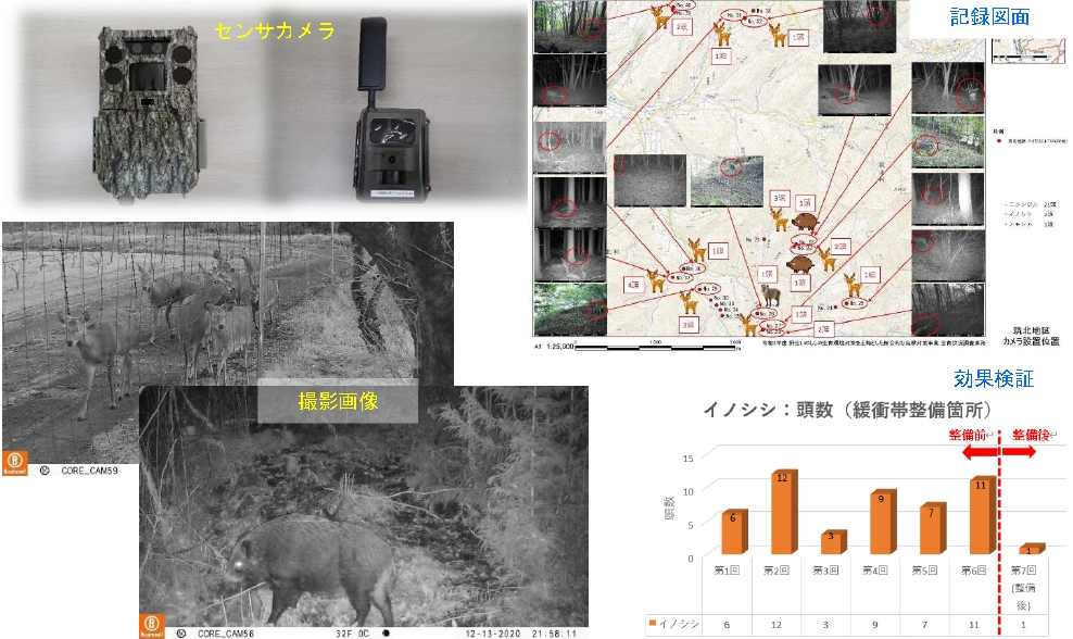 生息状況調査の写真